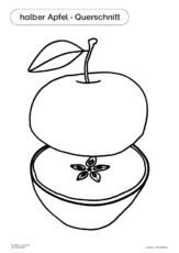 Der Apfel im Unterricht 19.pdf